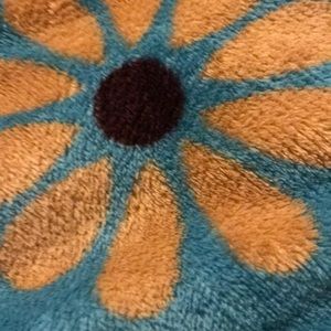 Meet your Posher, Elsa